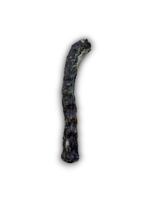 Duck Neck