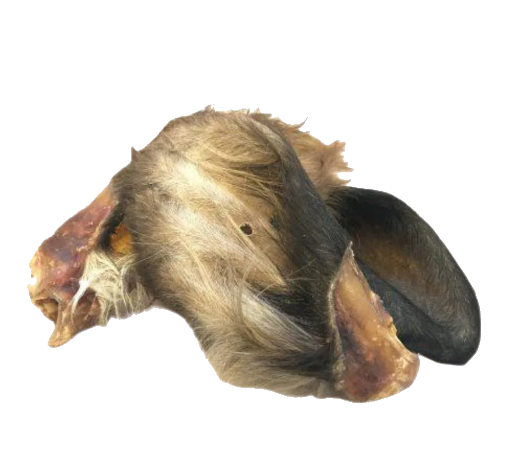Hairy Cow Ear