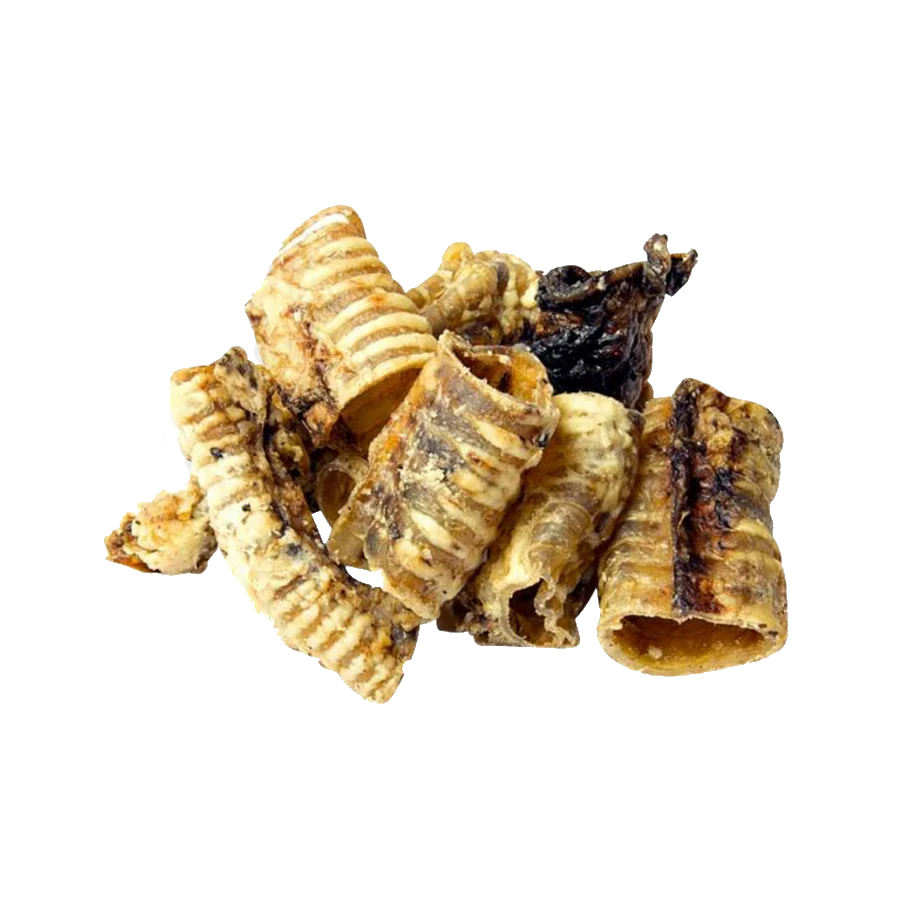 Trachea Cut (One Piece)
